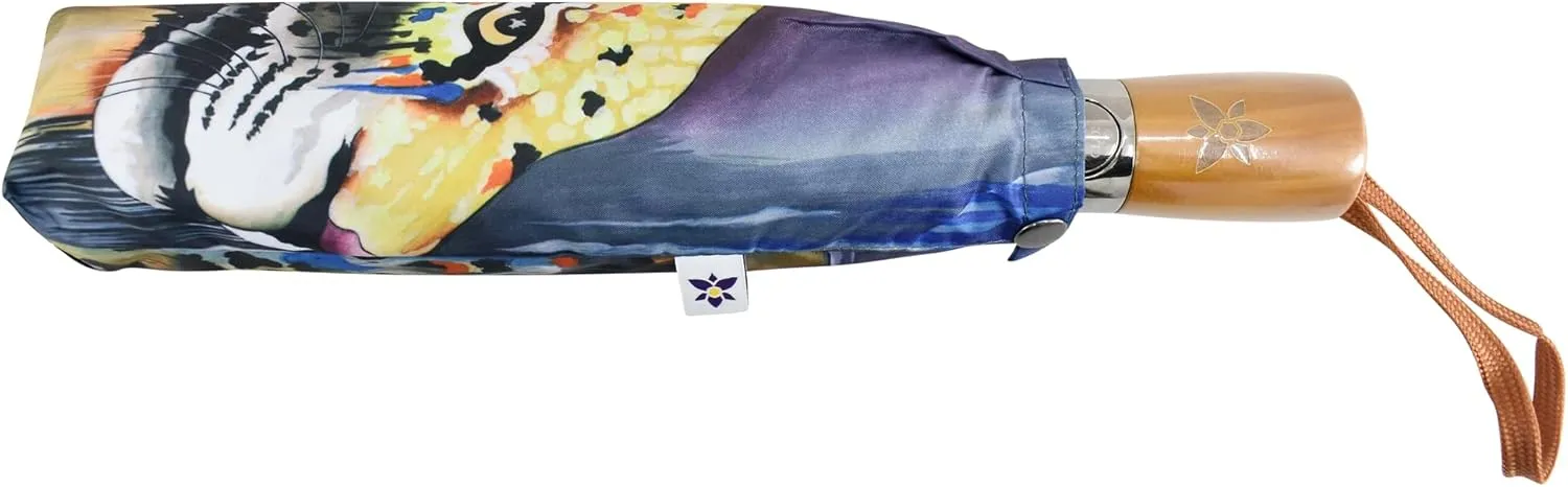 Anuschka Umbrella AUTO Open/Close - UPF 50  - 38” Waterproof Windproof Canopy - Fits in Handbag - Windproof Flexible Fiberglass