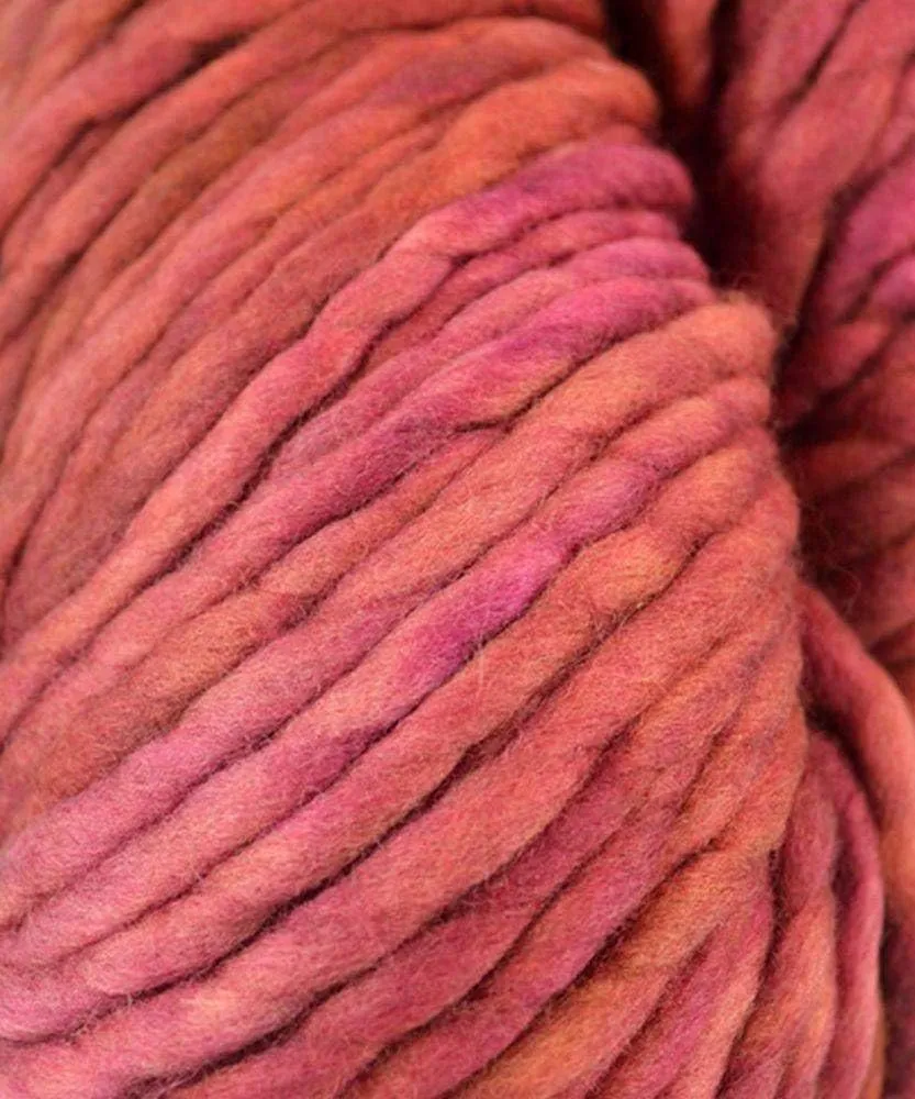 Malabrigo Rasta #864 Porrinho