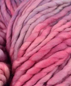 Malabrigo Rasta #864 Porrinho